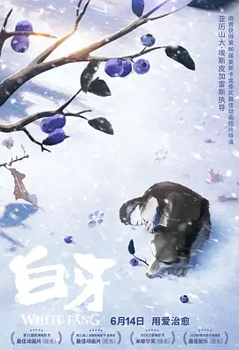 深夜福利二区